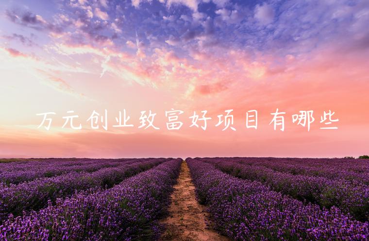 萬元?jiǎng)?chuàng)業(yè)致富好項(xiàng)目有哪些